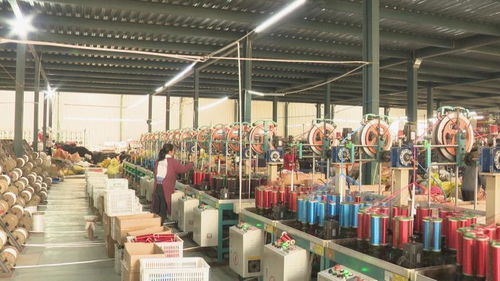 惠民繩網(wǎng)產(chǎn)業(yè)提檔升級,每年開發(fā)20個系列200多種規(guī)格的產(chǎn)品